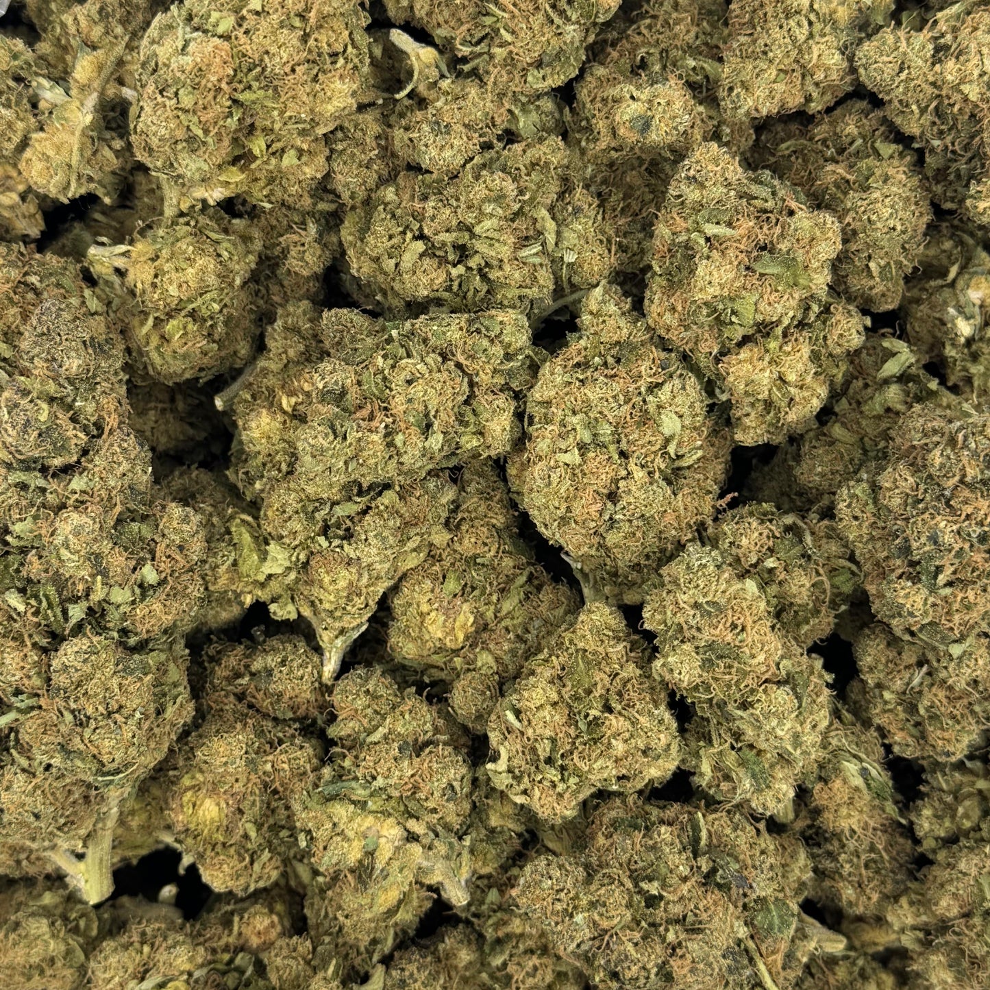 Hazed & Confused - Light Dep THCA (Full Size)