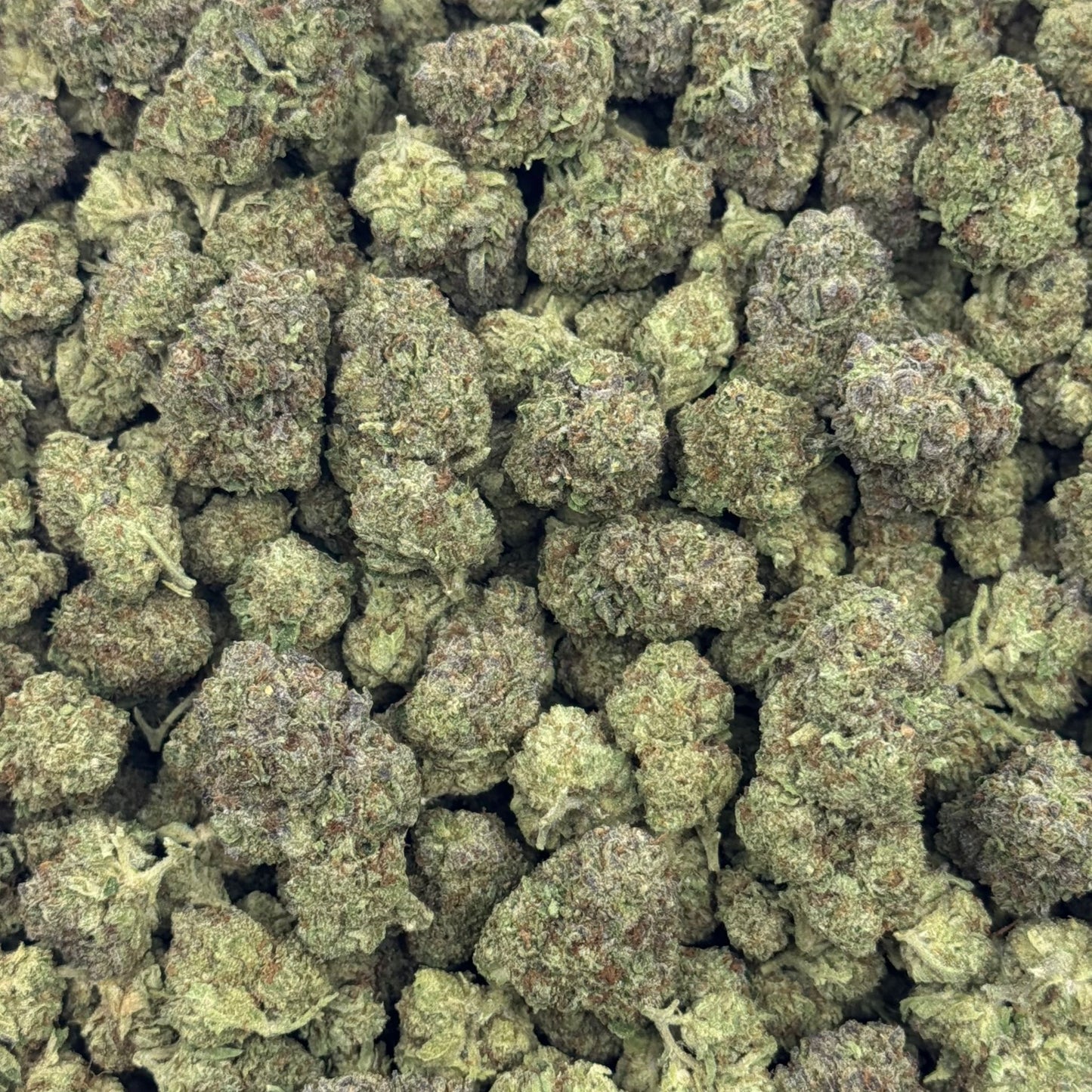 Cookies & Cream - Greenhouse THCA (Full Size)