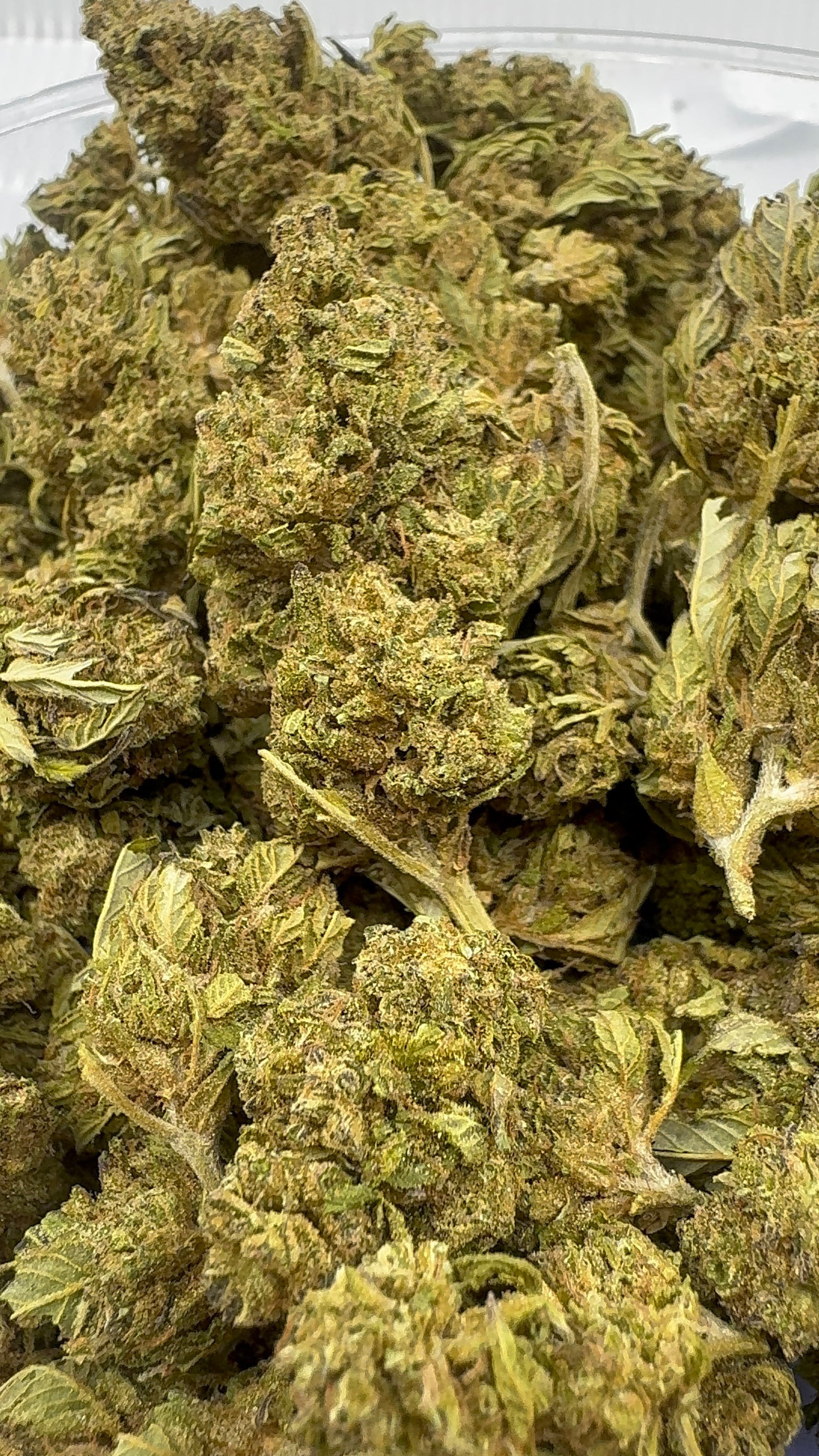 Wizard Candy – Budget THCA