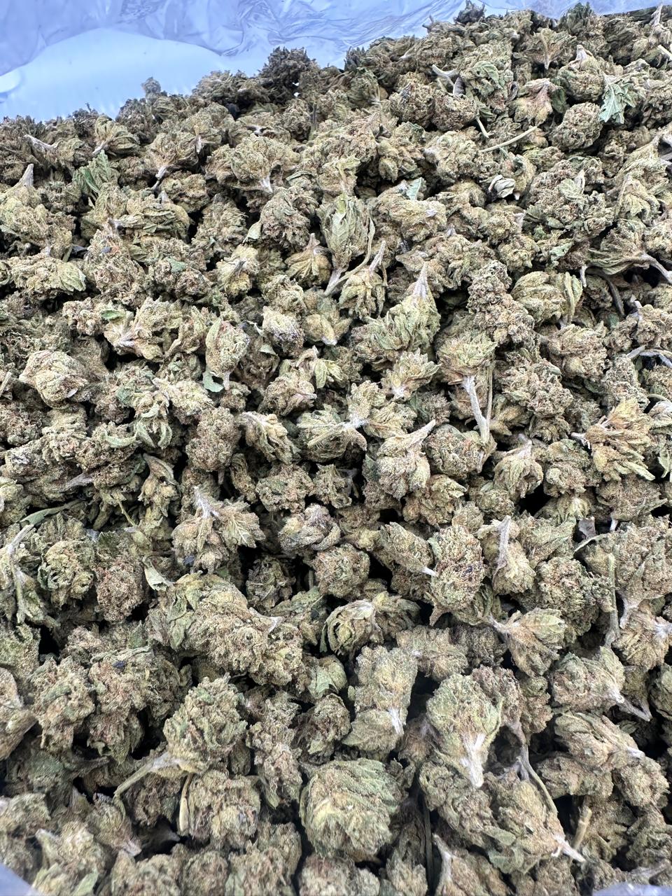 Apple Fritter – Budget THCA (Smalls)