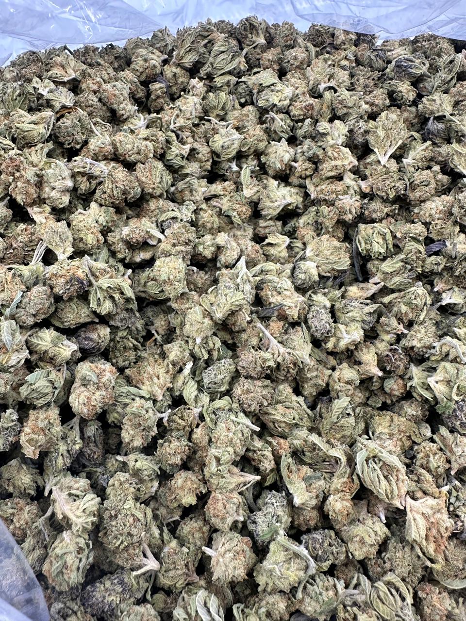 Obama Limonata – Budget THCA (Smalls)