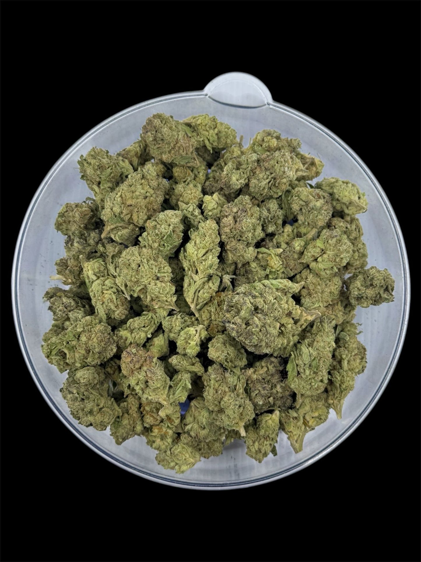 Pina Colada - Light Dep THCA (Full Size)