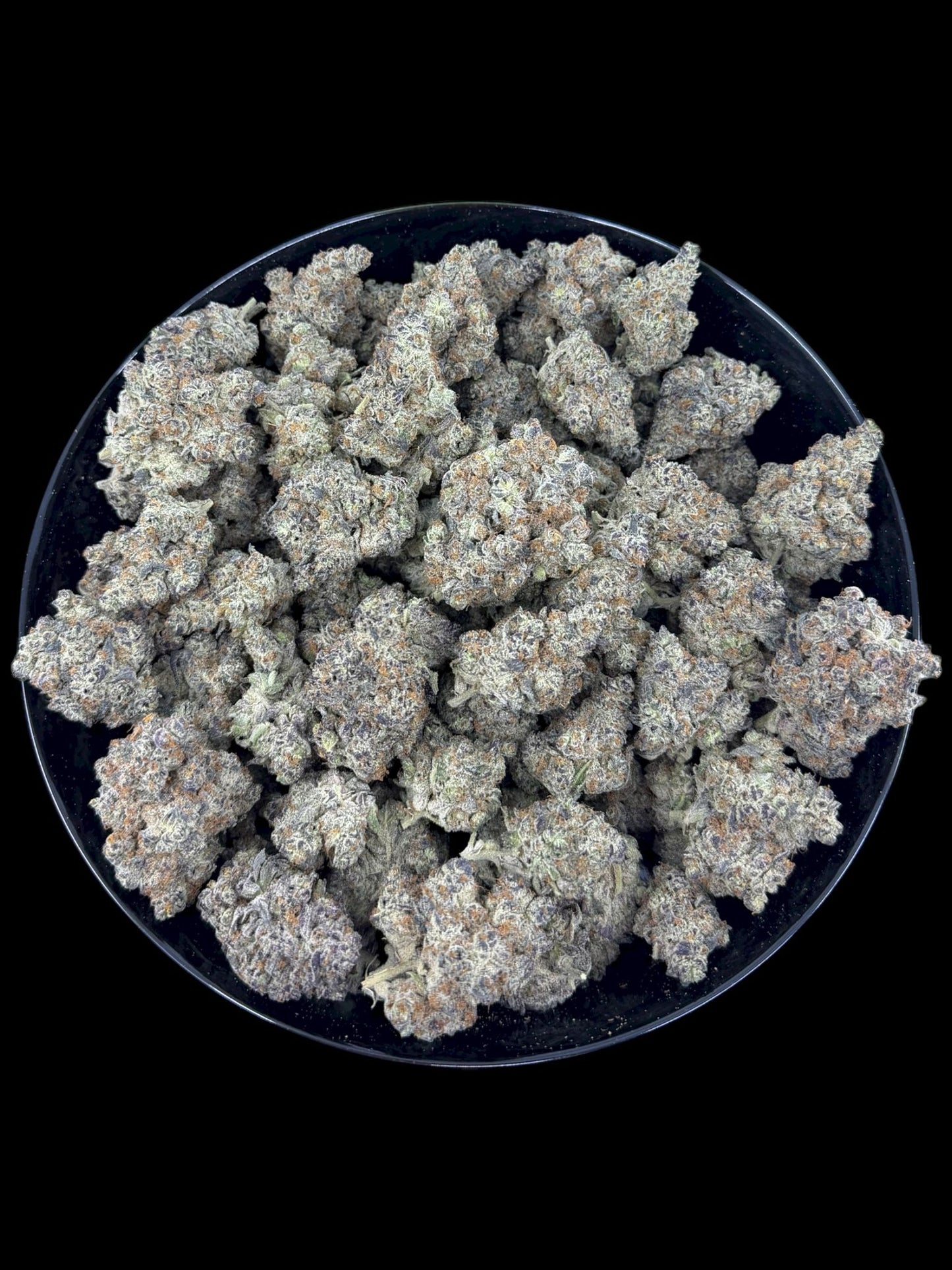 Presidential Runtz - Exotic THCA (Full Size)