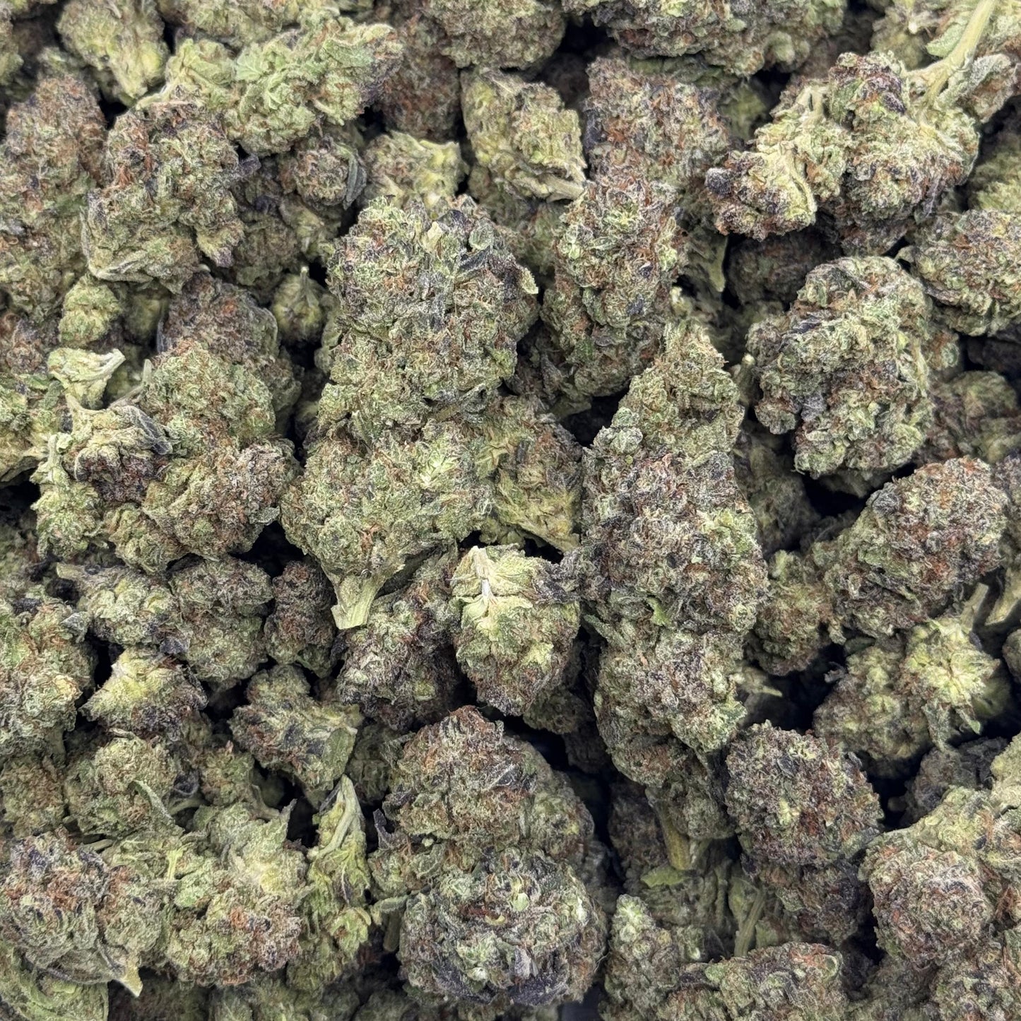 Truffle Tart - Light Dep THCA (Full Size)