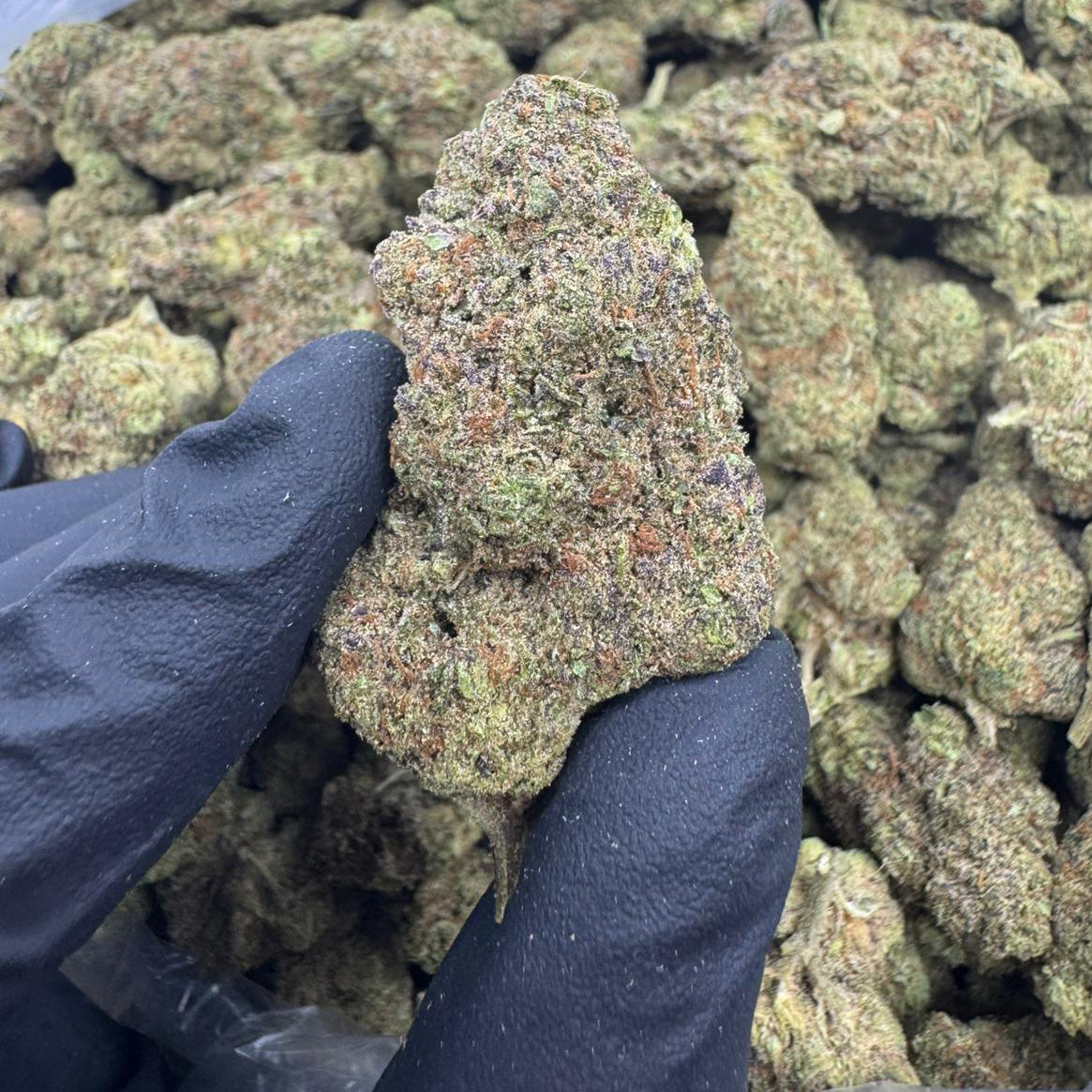 Curelato - Indoor THCA (Full Size)