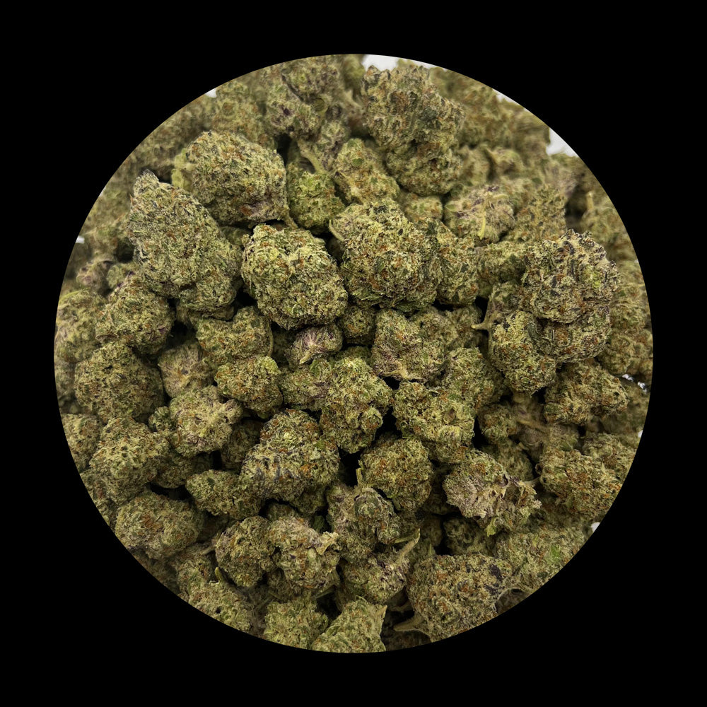 Apple Tarts - Indoor THCA (Full Size)