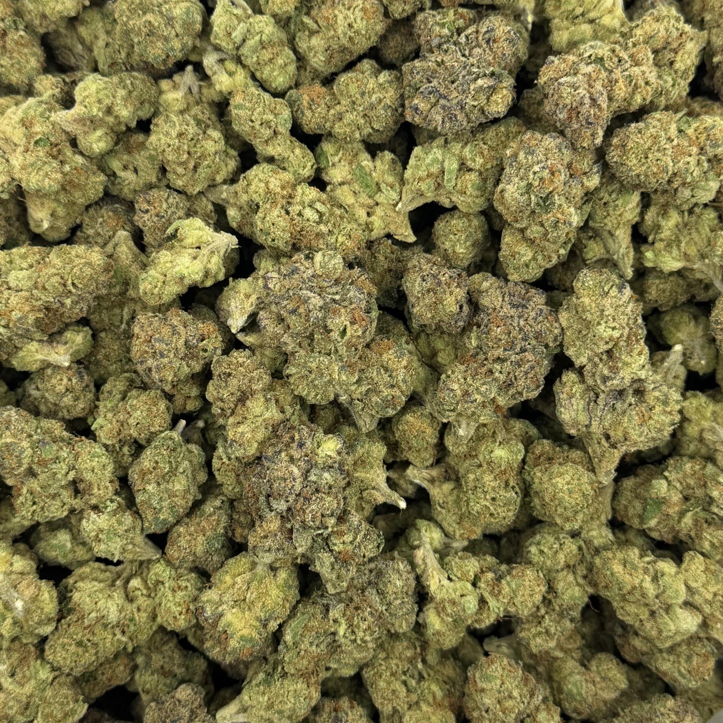 Medellin - Light Dep THCA (Full Size)