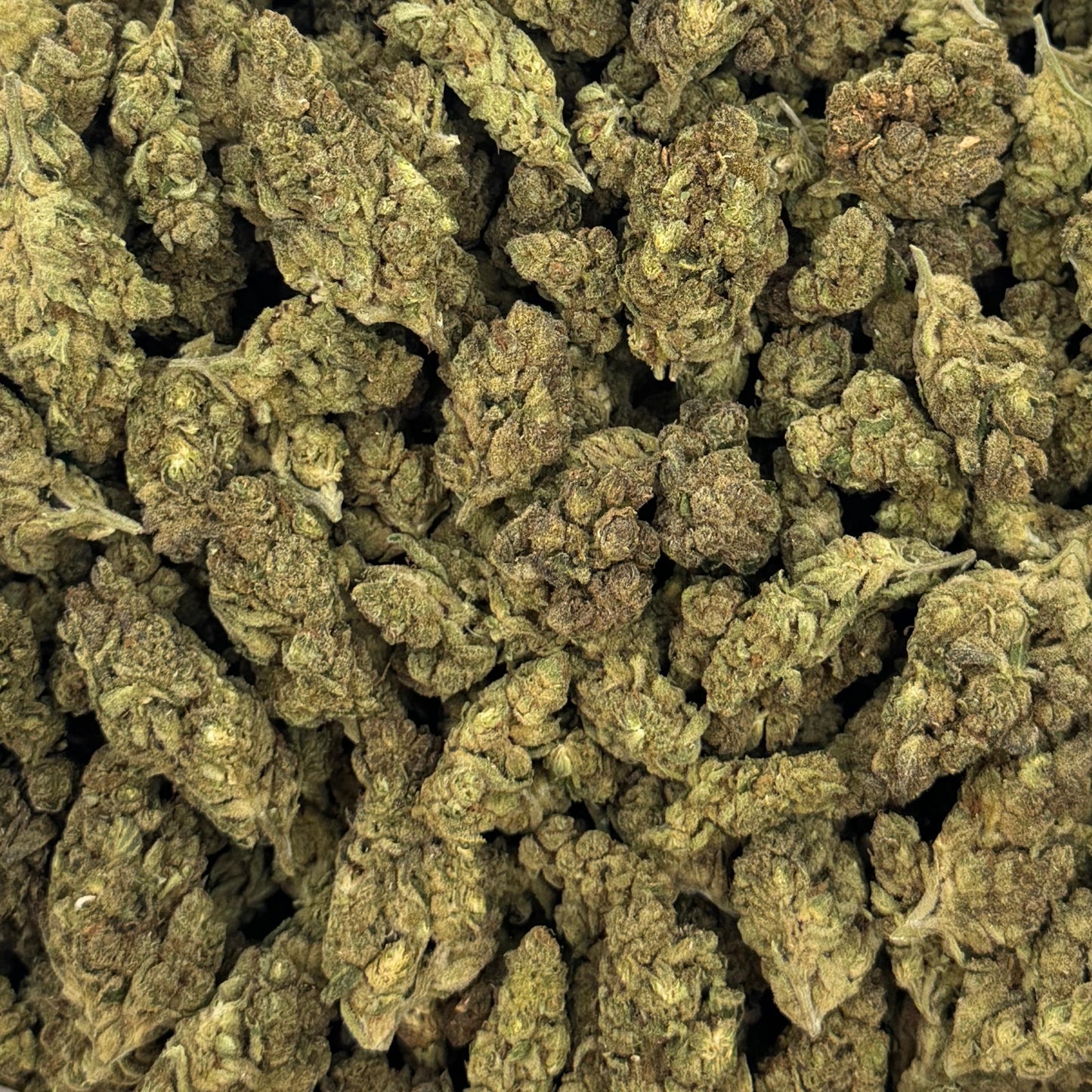 Frosted Donuts – Budget THCA (Full Size)