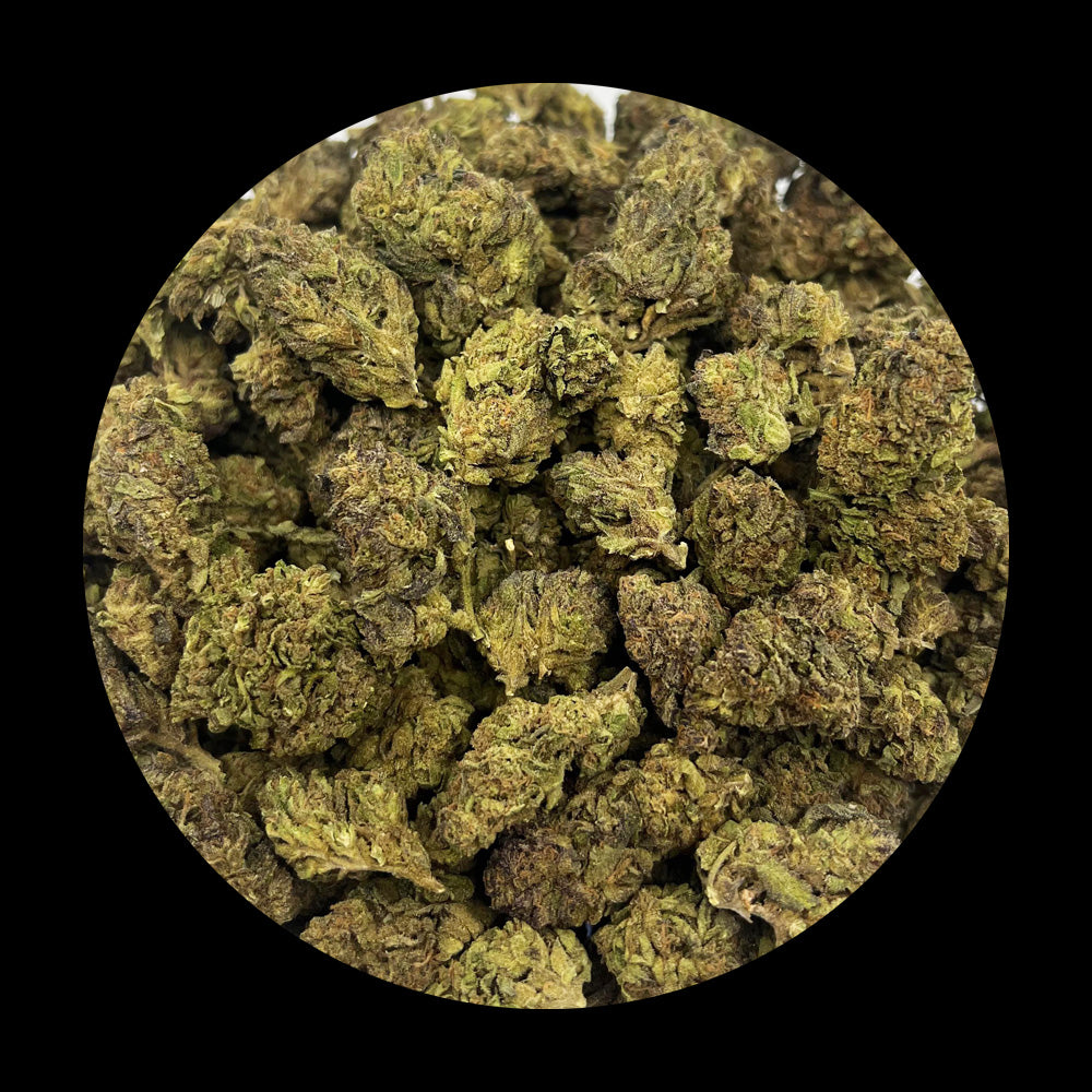 Forbidden Fruit - Greenhouse THCA (Full Size)