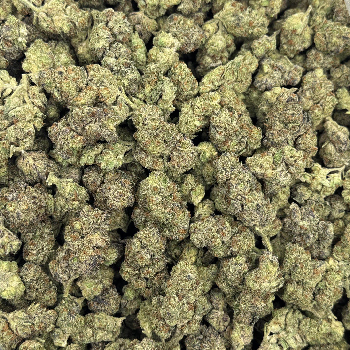 Pave Khalifa - Light Dep THCA (Full Size)