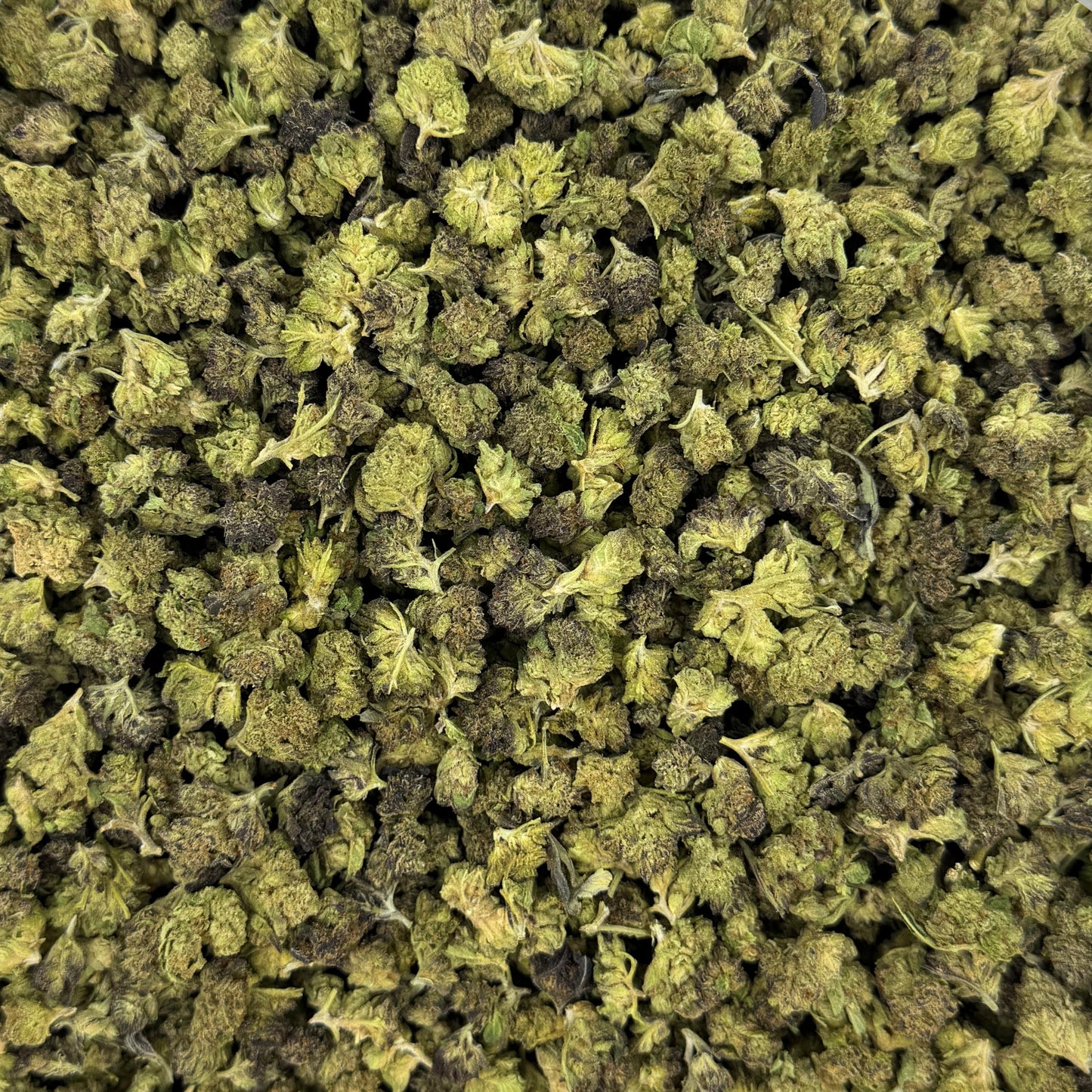 Blackberry Gelato – Budget THCA (Small)