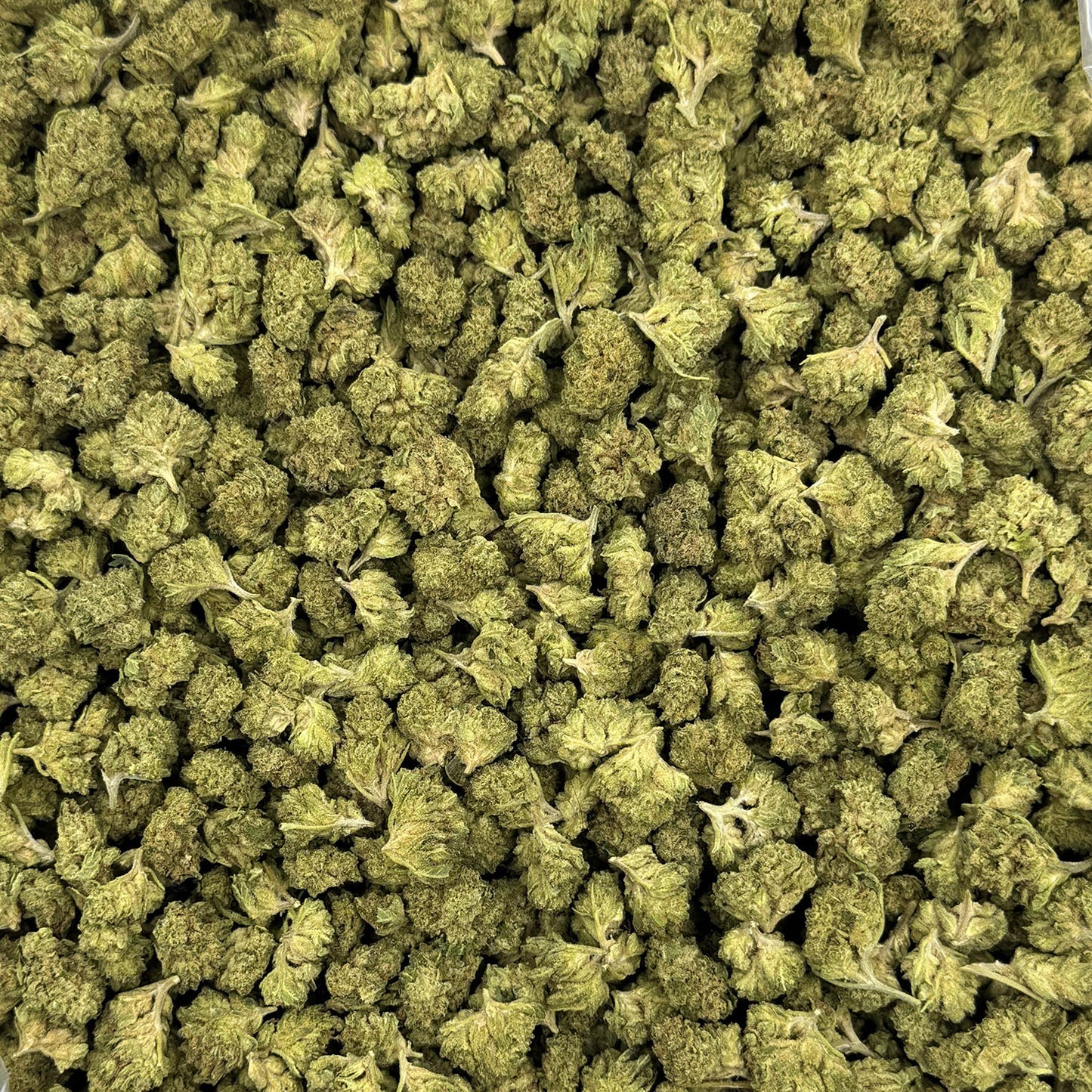 White Gummies – Budget THCA (Smalls)