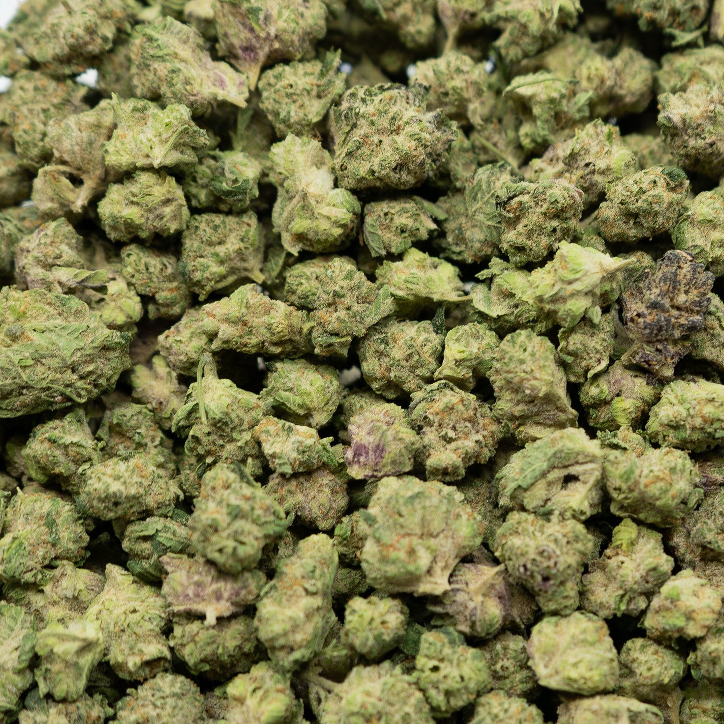 AK-47 - Greenhouse THCA (Smalls)