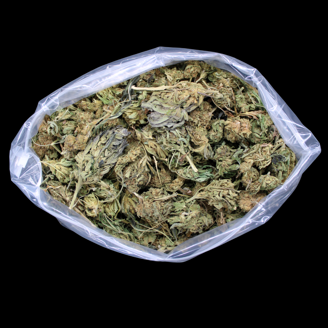 Wedding Crasher THCA Flower LB