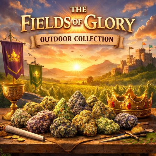 The Fields of Glory Have Opened