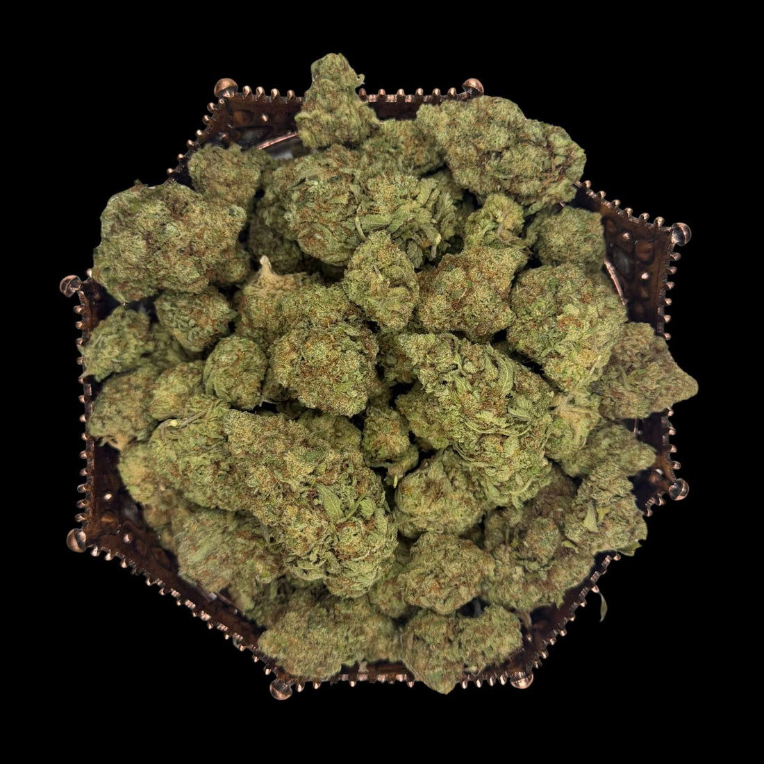 Gorilla Glue greenhouse THCA flower photographed on black