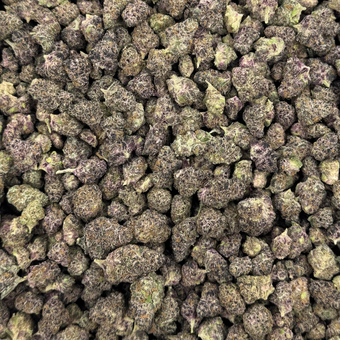 Close-up of THCA small buds filling the frame, purple and green, photographed from above