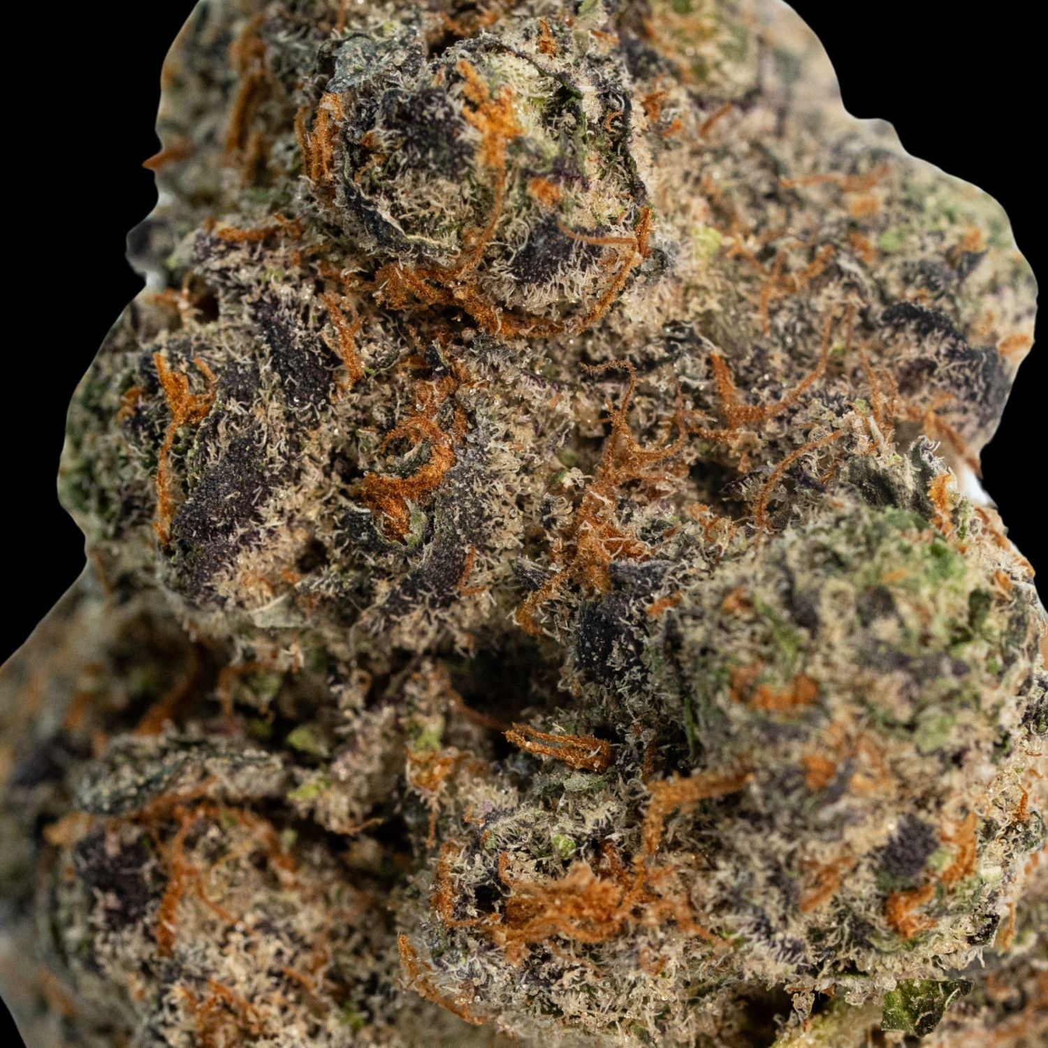 Exotic THCA Flower - THCA King thcaking.com