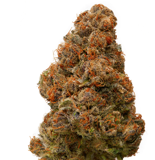 CBD Flower Vs THCA Flower