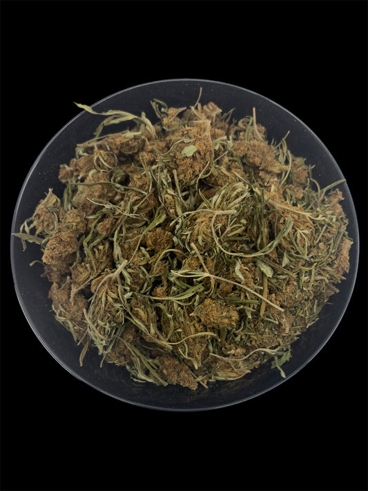 Jack Herer – Budget THCA Trim