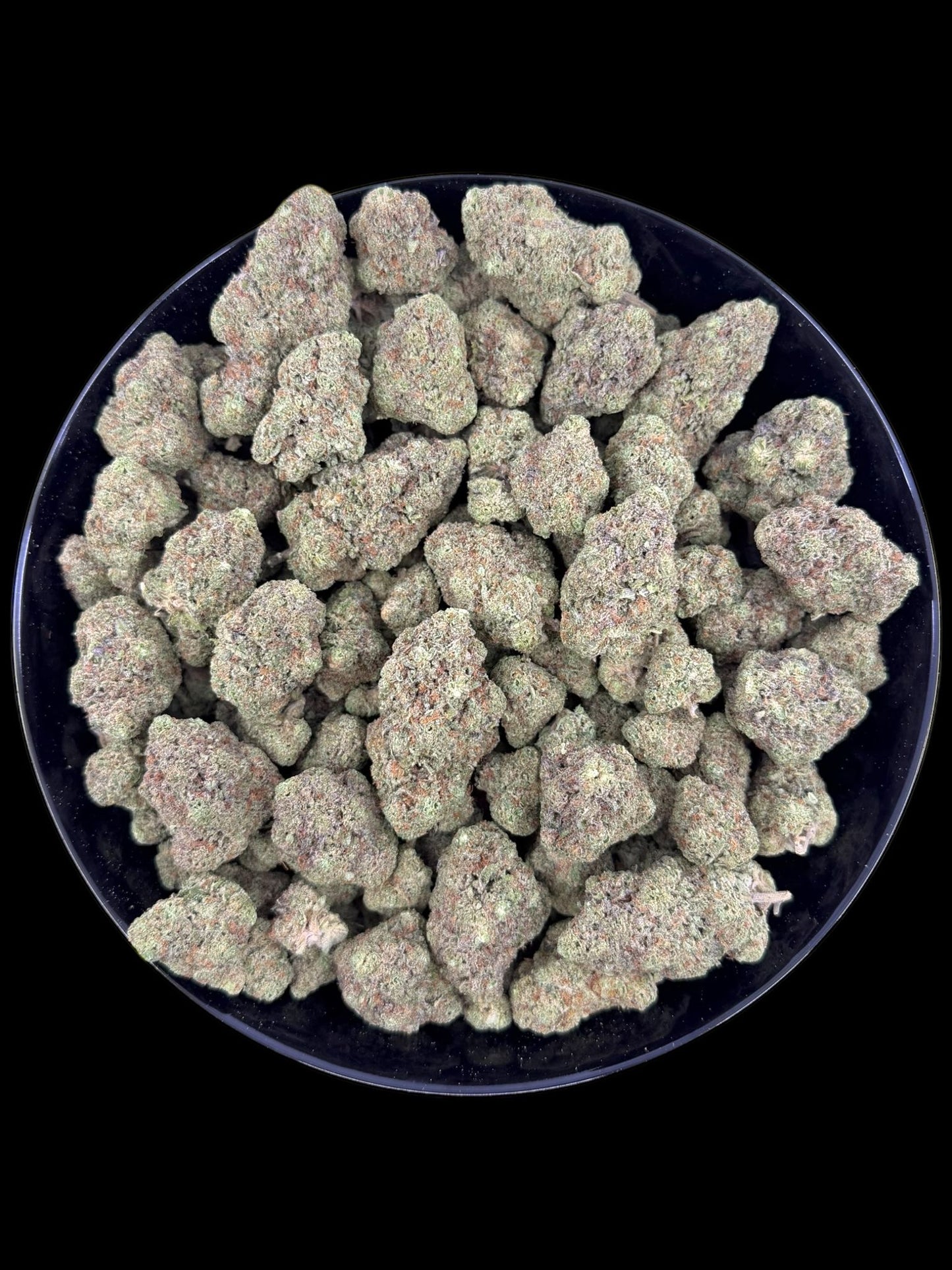 Pop Rock - Indoor (Full Size)