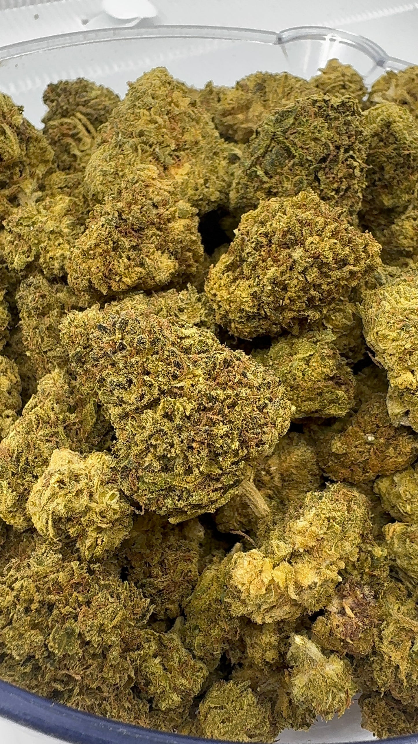 Wedding Cake – Budget THCA