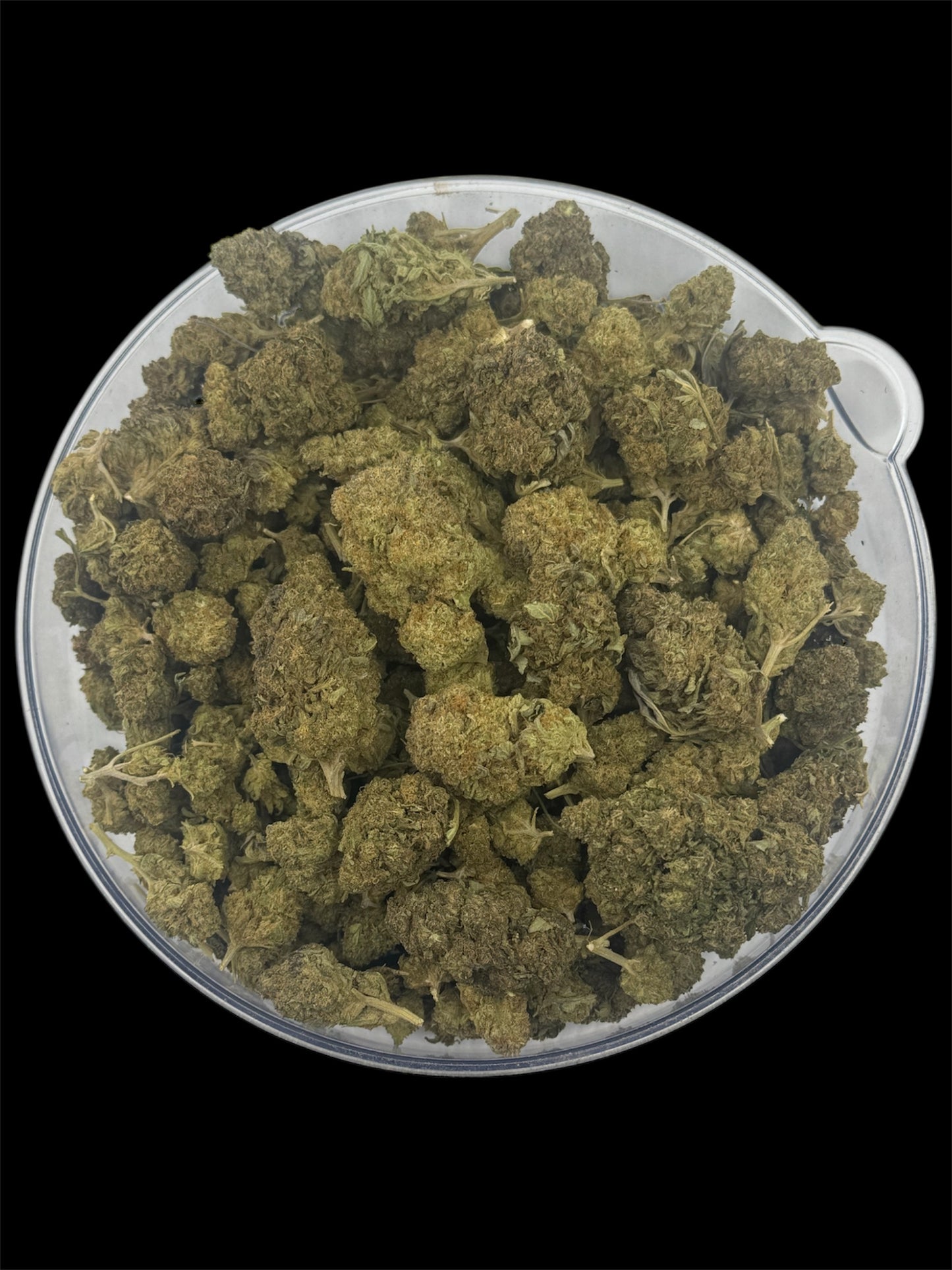 White Sherb – Budget THCA