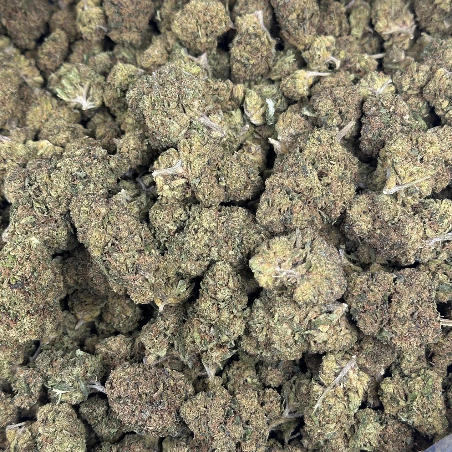 Jack Herer – Budget THCA