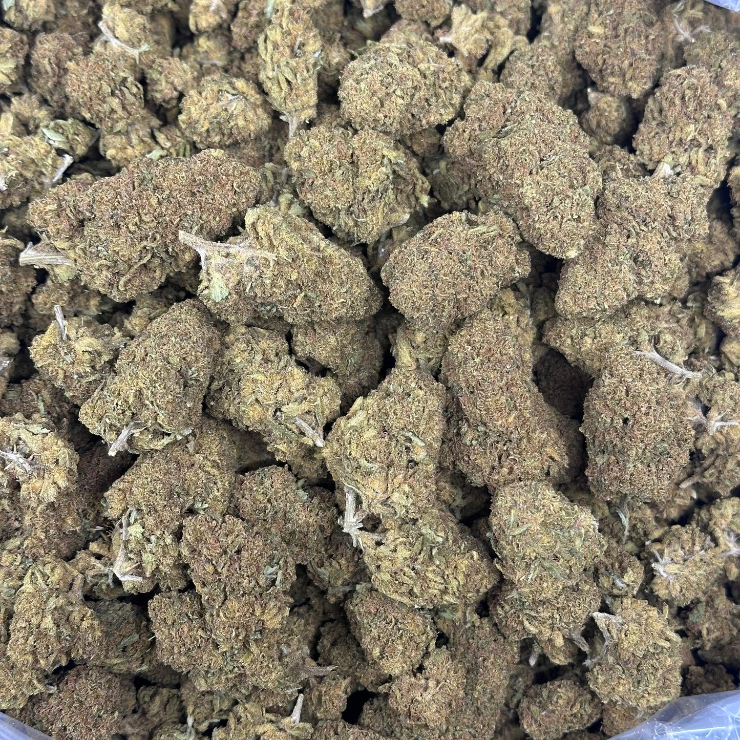 Zoap – Budget THCA