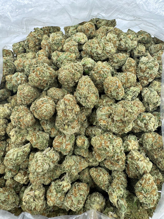 Jet Fuel Gummie - Indoor THCA (Full Size)