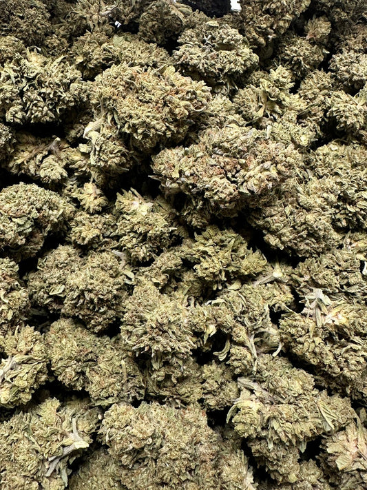 Government Oasis – Budget THCA