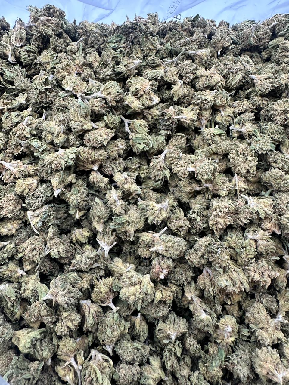 Sour Diesel – Budget THCA (Smalls)