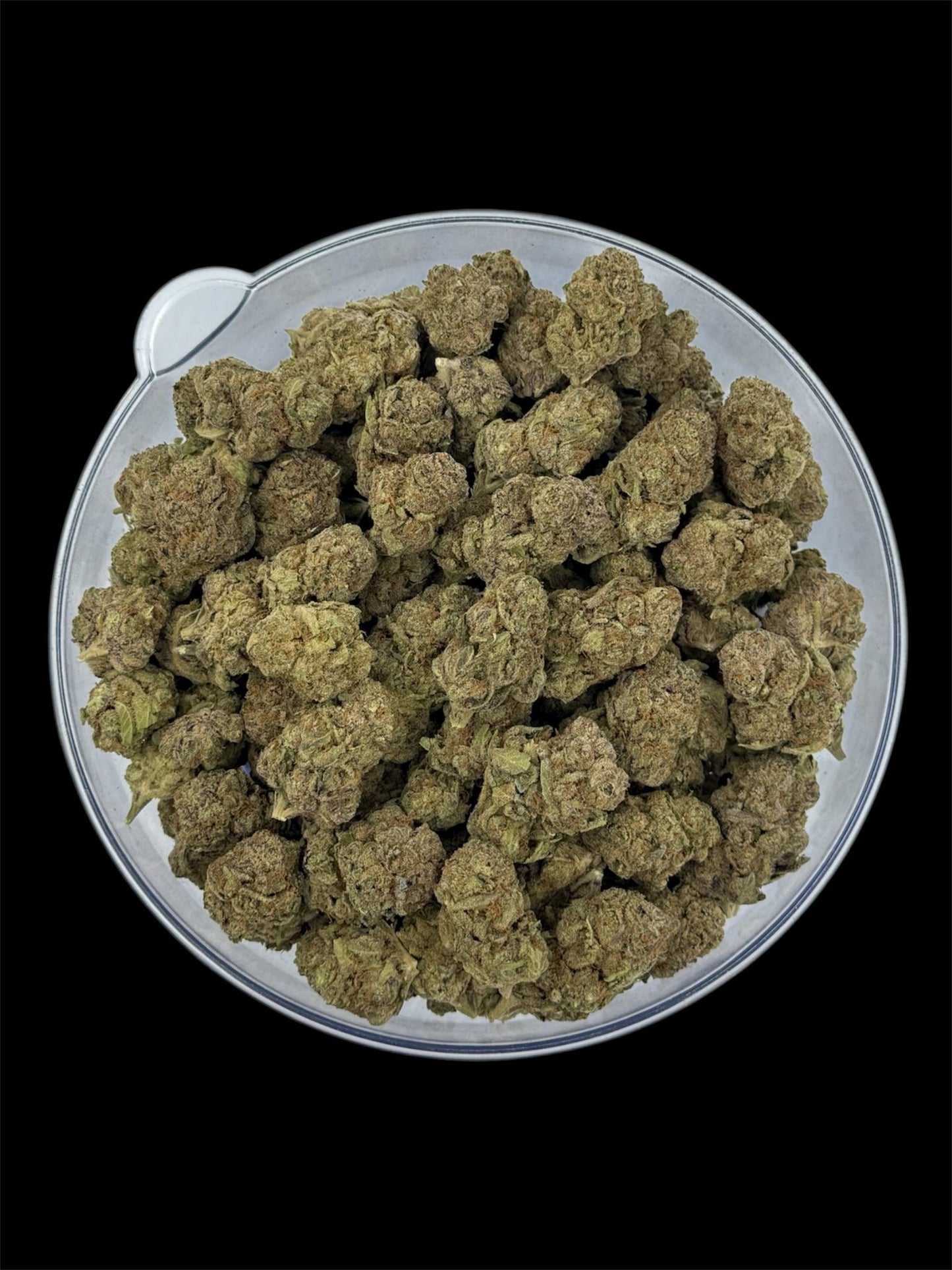 Beach Wedding - Indoor THCA (Full Size)