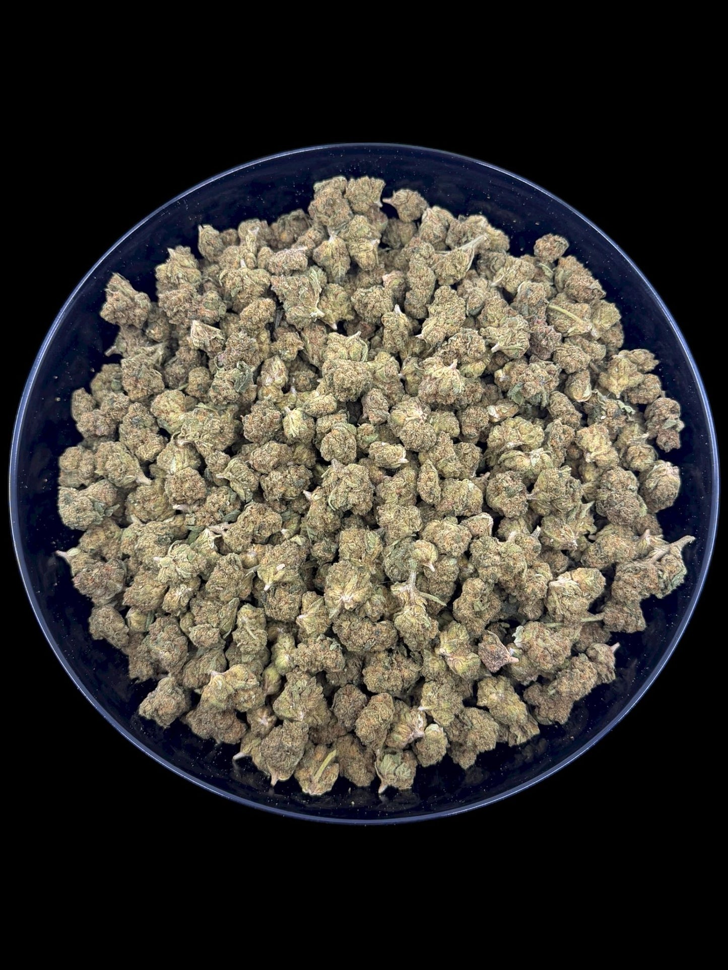 Gelato 41 – Budget THCA (Smalls)