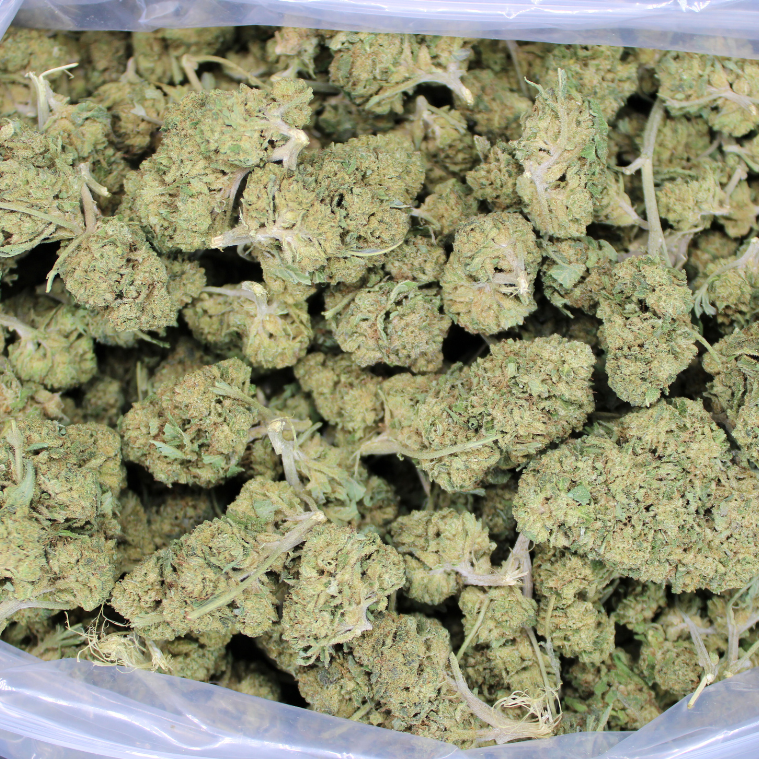 Black Ice THCA Flower Ounce