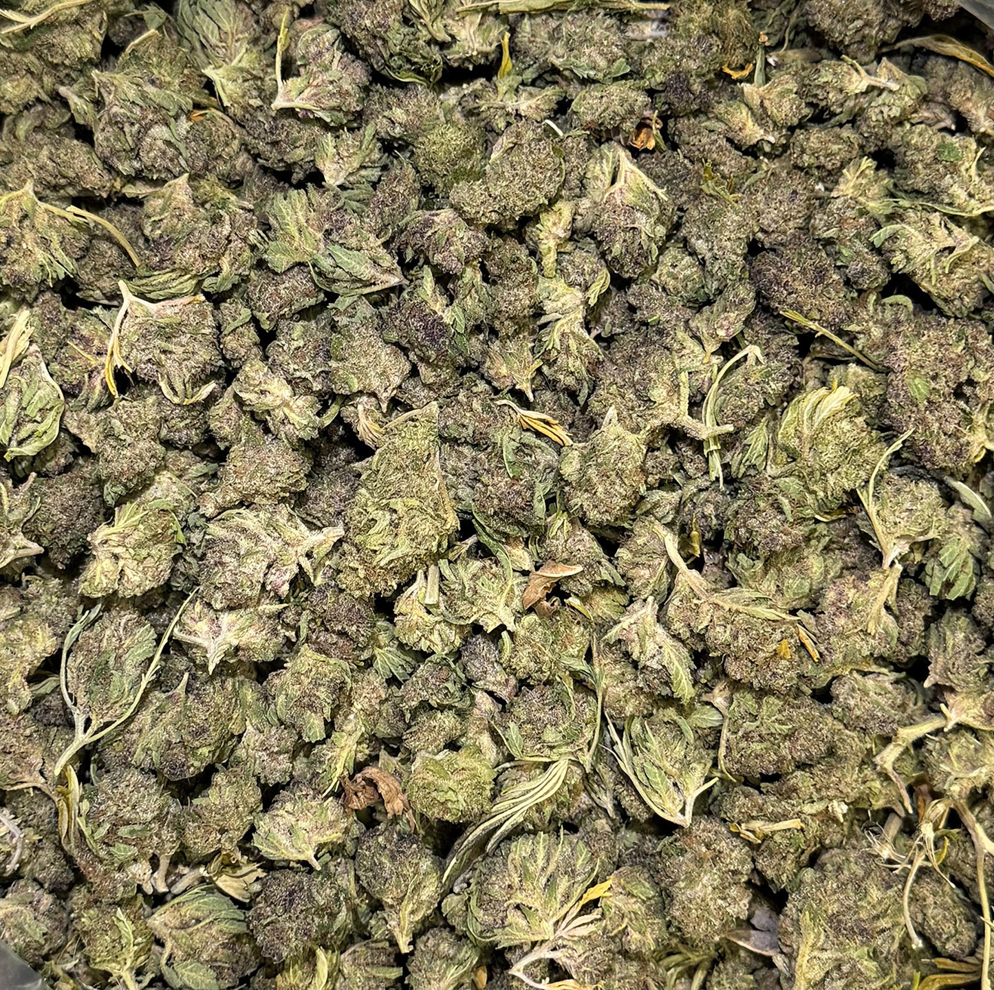 Cheap THCA Flower Pound (All Strains)