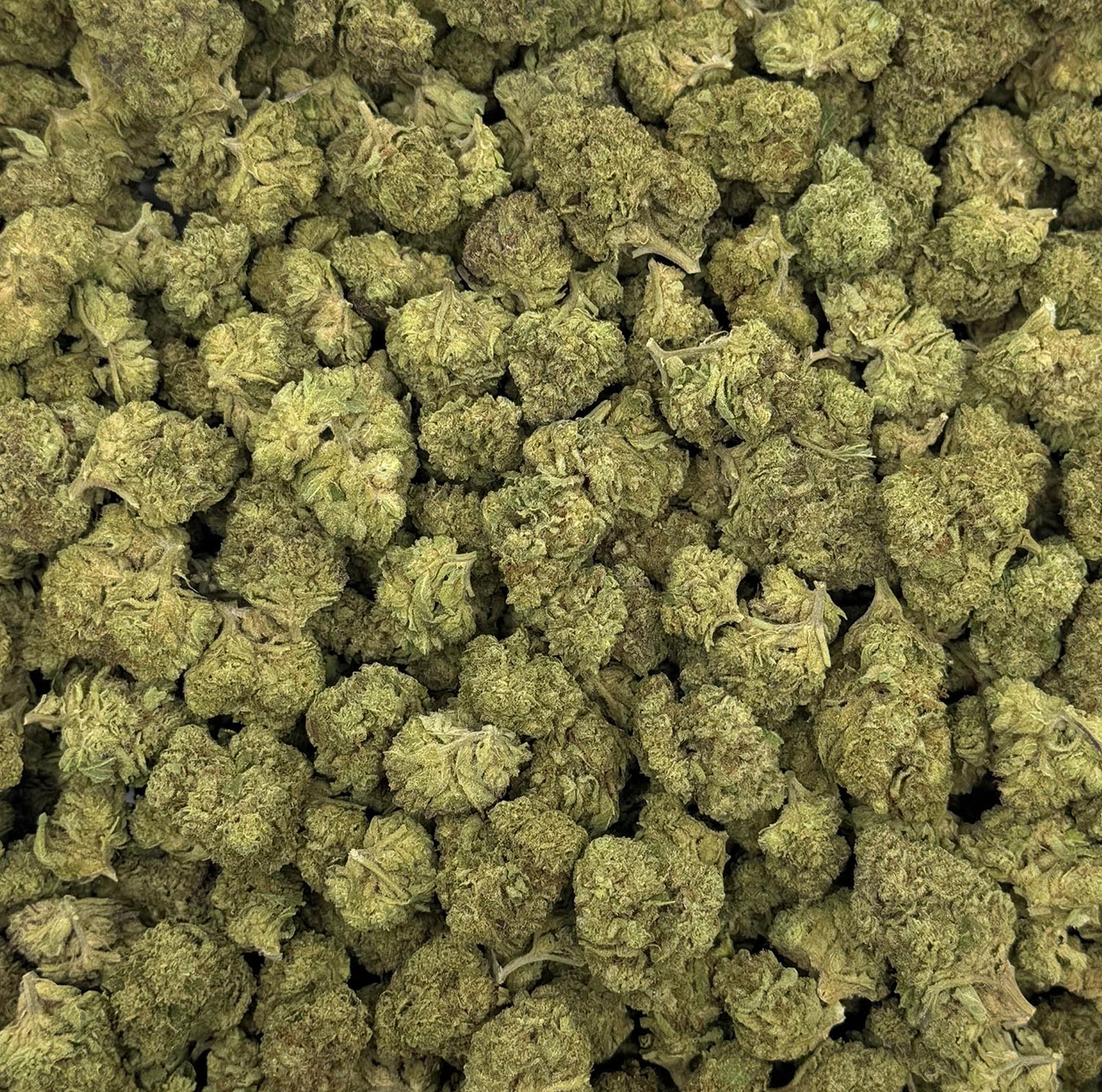 Cheap THCA Flower Pound (All Strains)