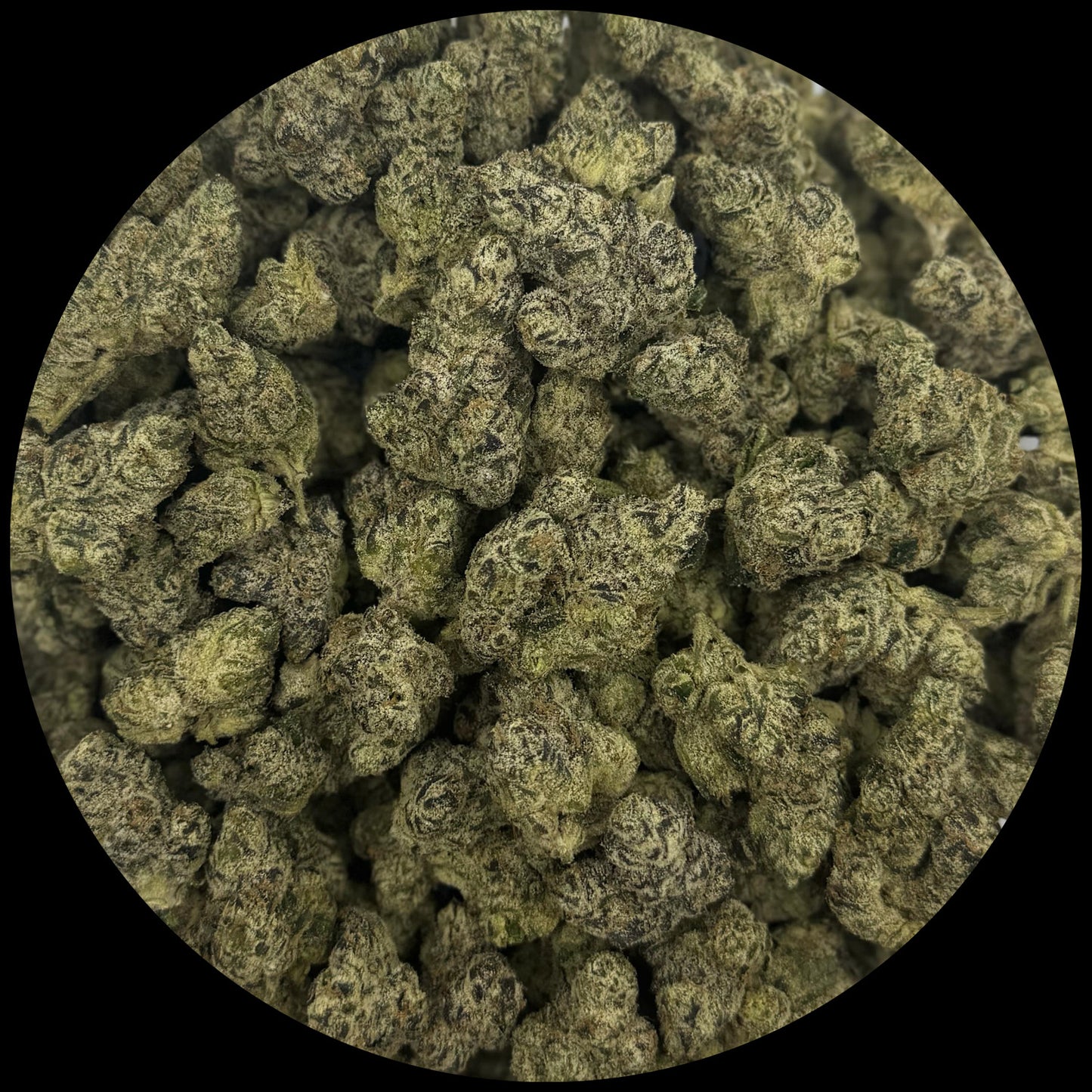 Berry Pop Exotic Indoor THCA Flower Full Size Buds