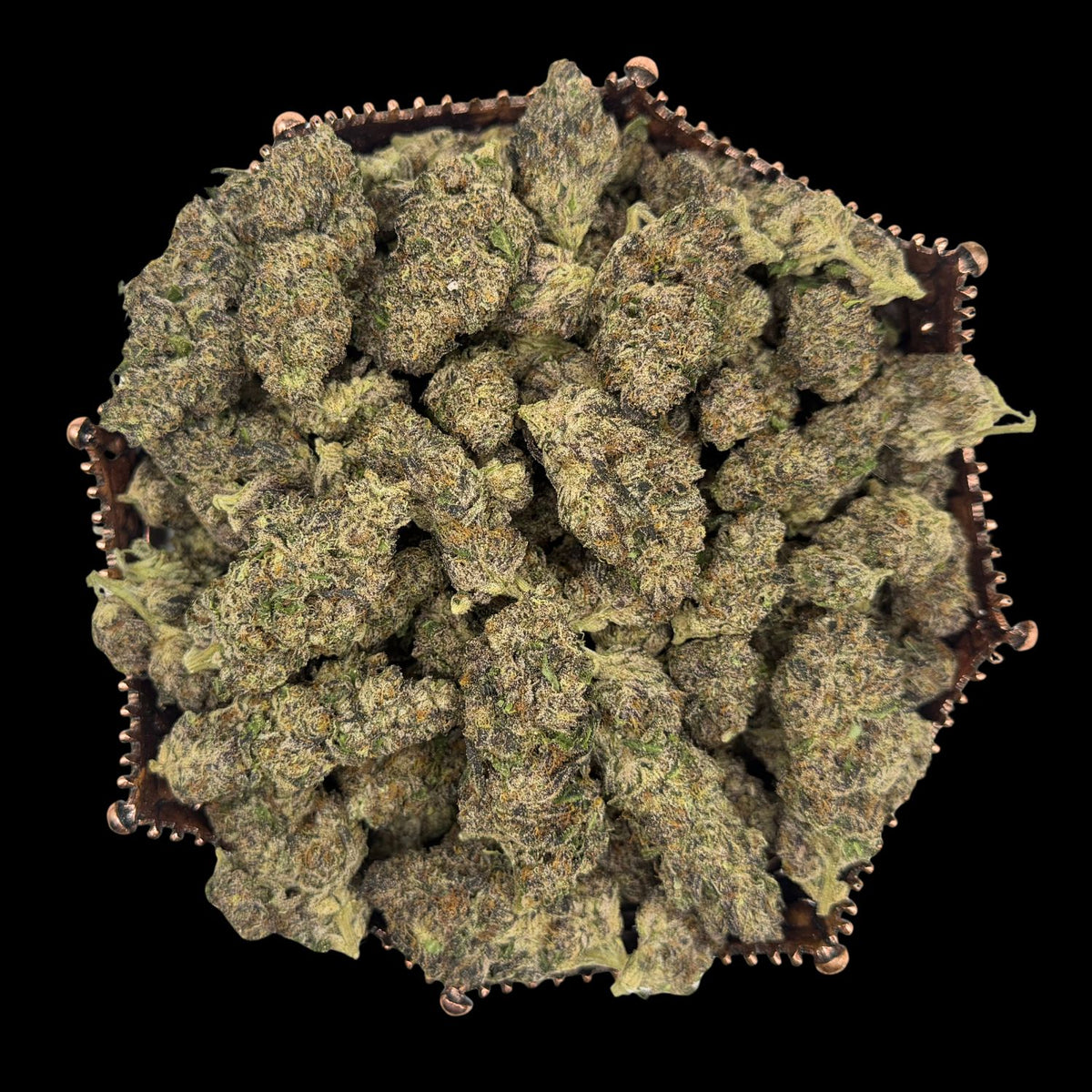 Black Garlic Gelato Exotic THCA