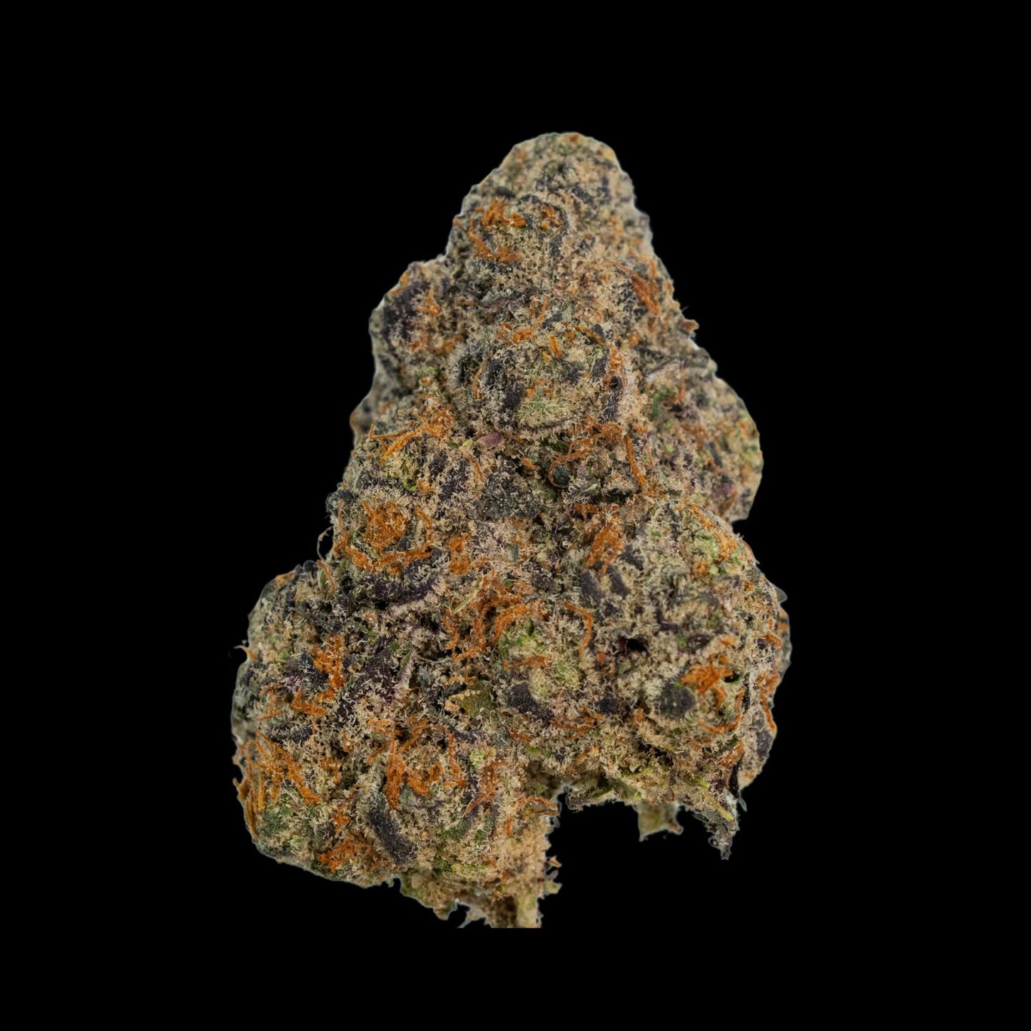 Bling Blaow Exotic Indoor THCA Flower Full Size Buds