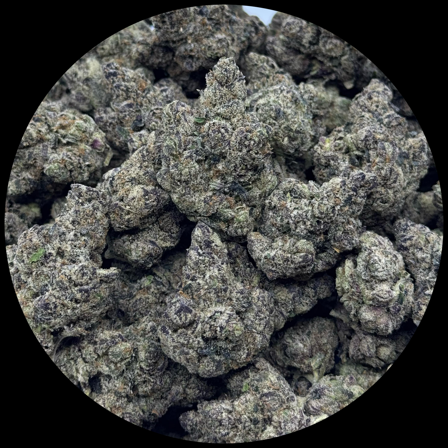 Grape Gumbo Exotic Indoor THCA Flower Full Size Buds