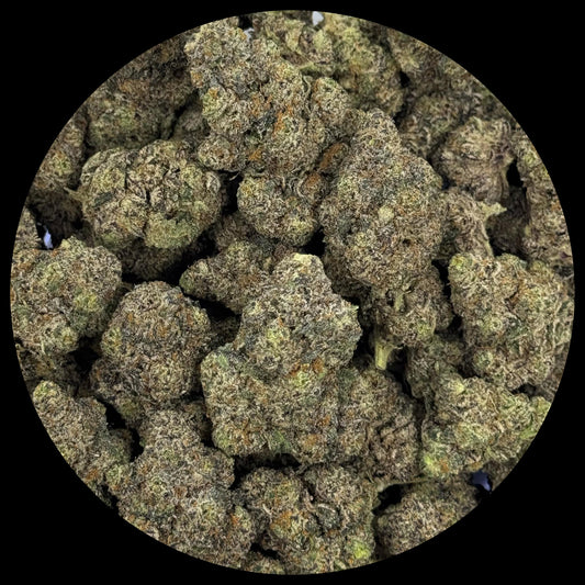 White Zerbet Exotic Indoor THCA Flower Full Size Buds