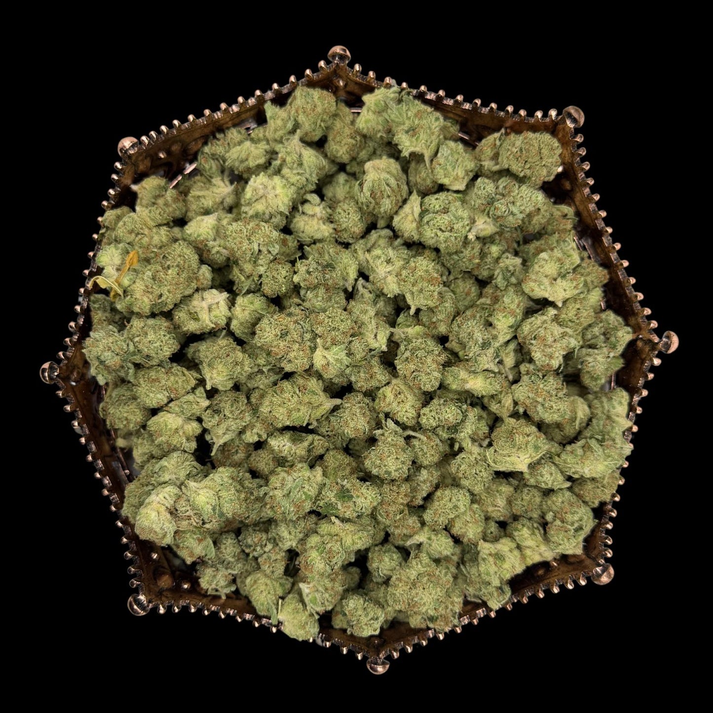 Alien OG Indoor THCA Mediums