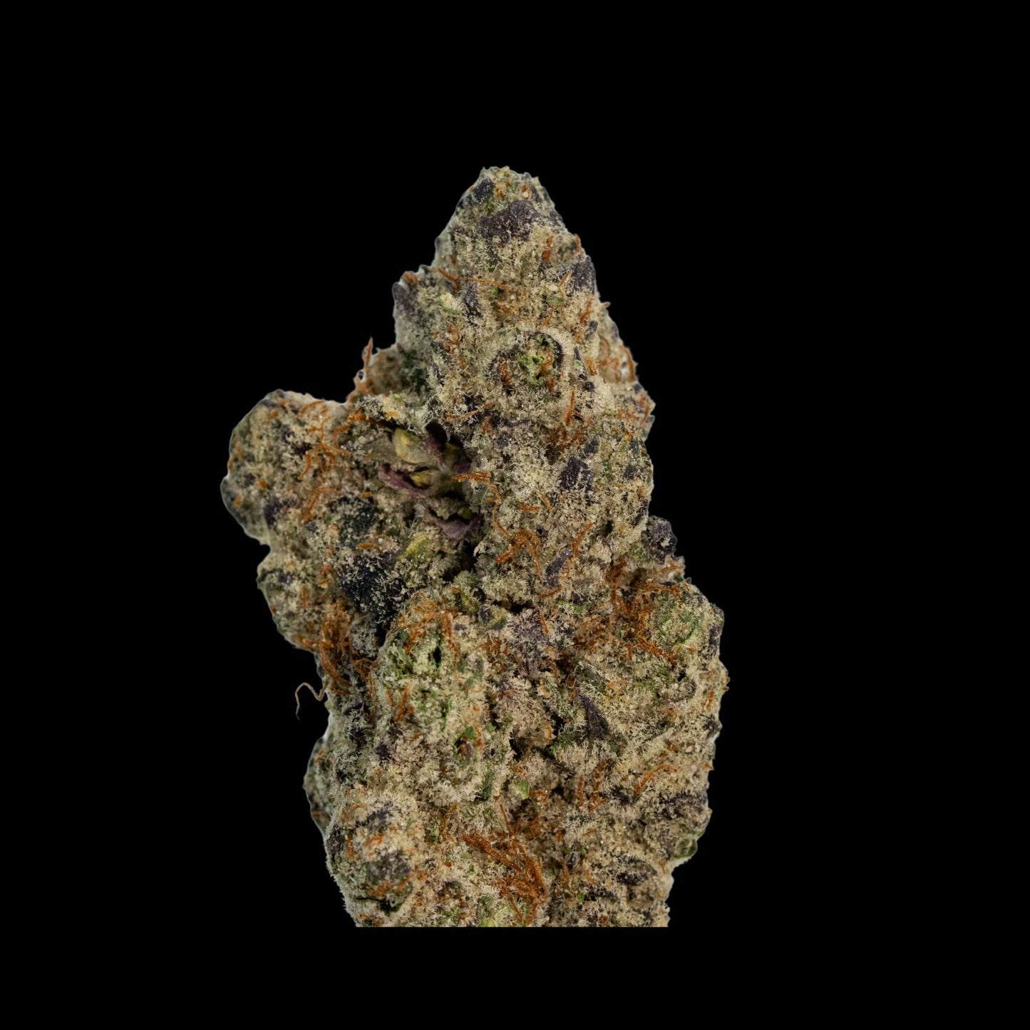 White Gummy Bear Exotic Indoor THCA Flower Full Size Buds