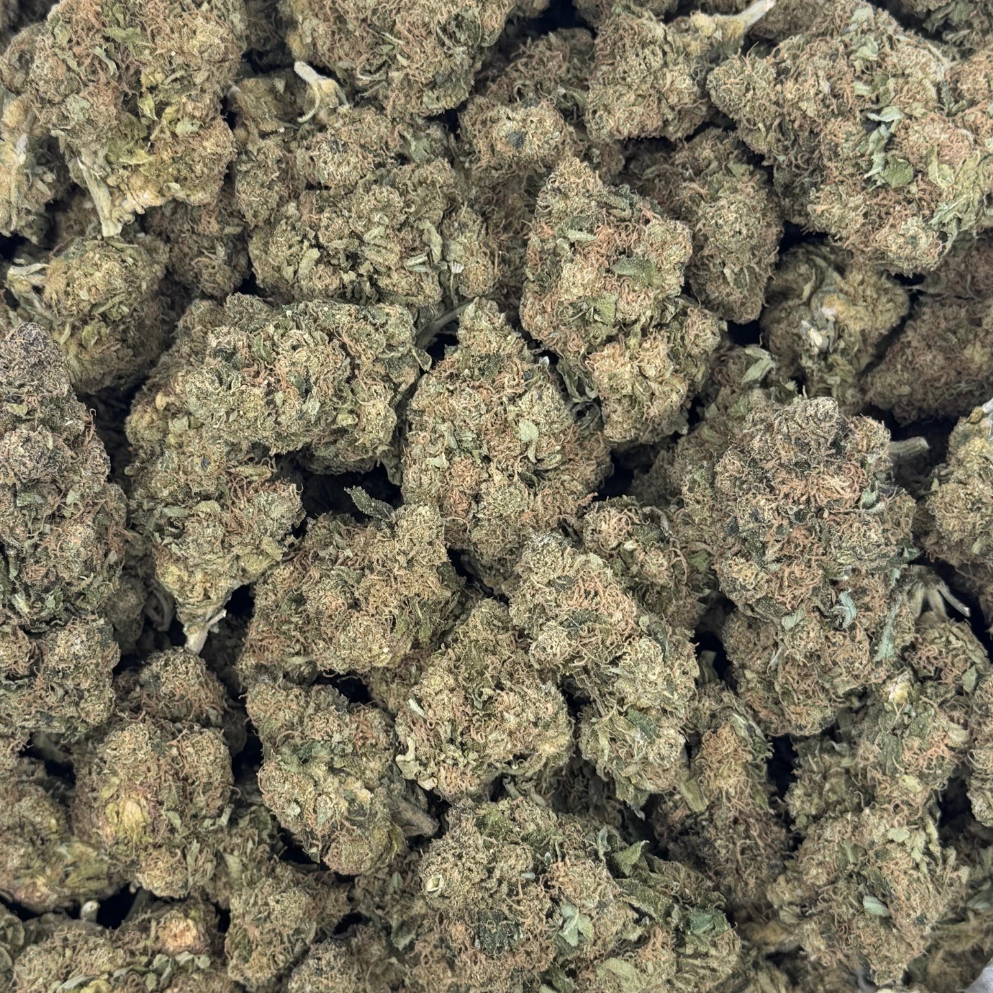 Hazed & Confused - Light Dep THCA (Full Size)