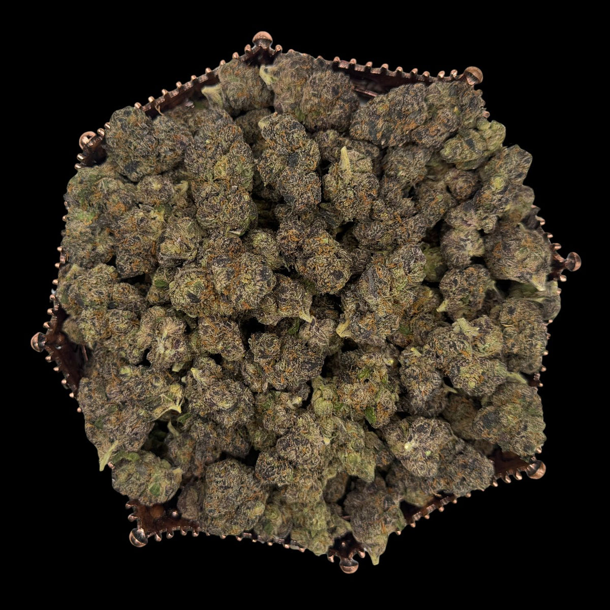 Black Piranha Indoor THCA
