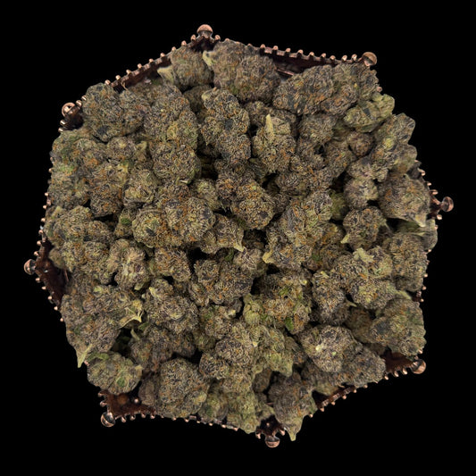 Black Piranha Indoor THCA