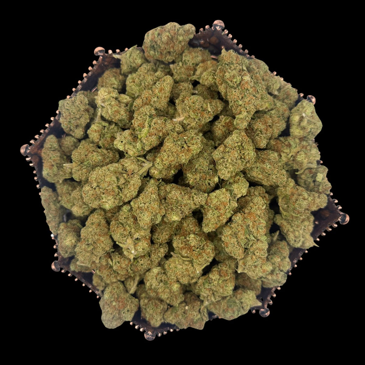 Disco Runtz Indoor THCA