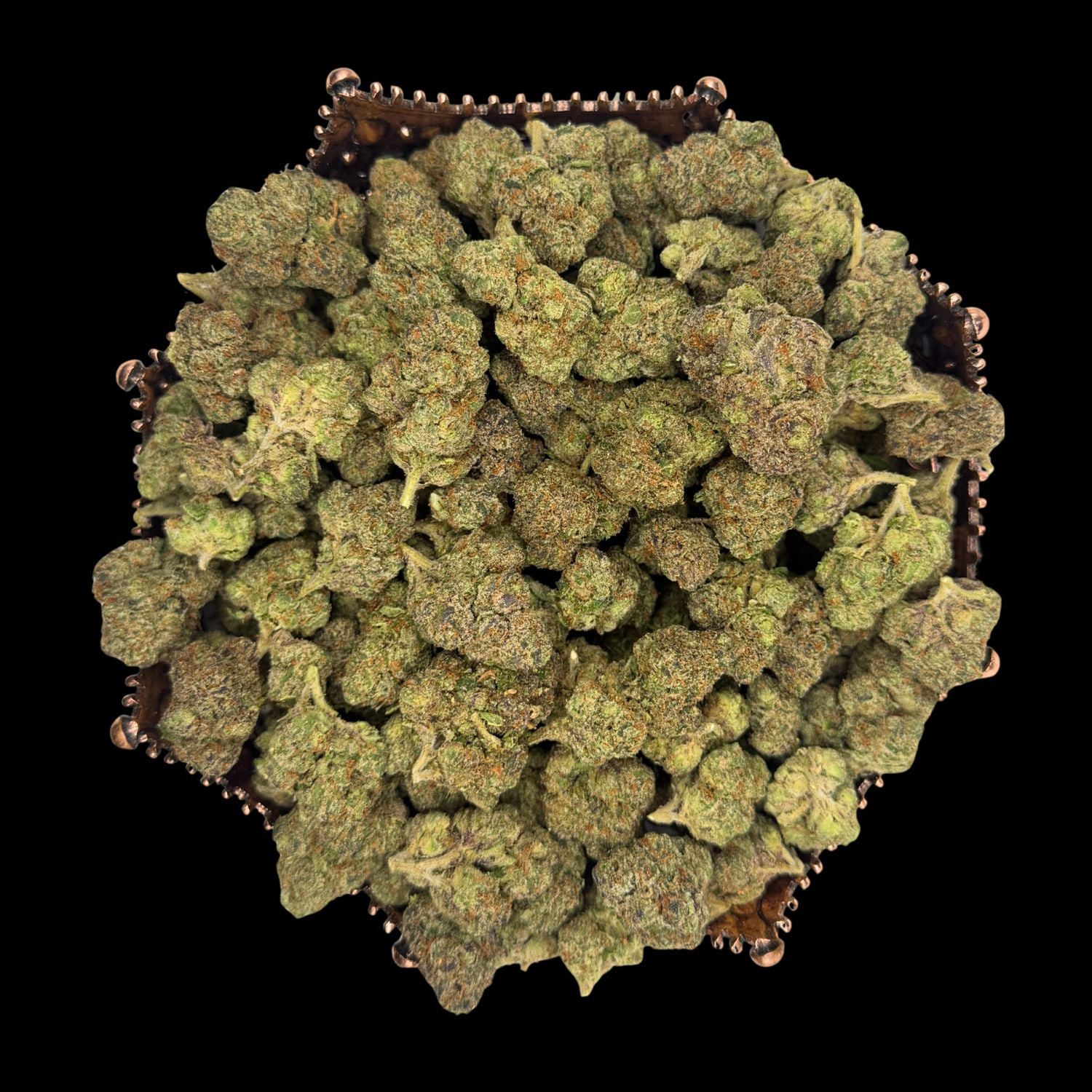 Purple Cream Pie Indoor THCA