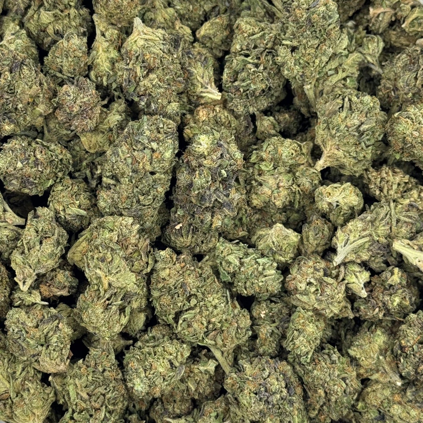 Lemon Cherry Sherbet – Budget THCA